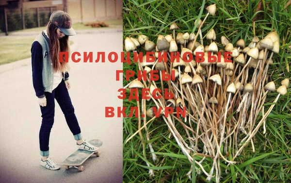 синтетический гашиш Покровск