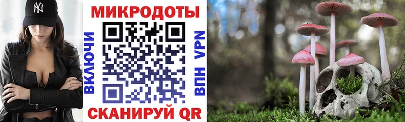 Псилоцибиновые грибы Cubensis  магазин  наркотиков  Аркадак 